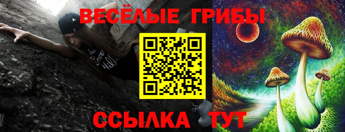 Галлюциногенные грибы GOLDEN TEACHER Муравленко